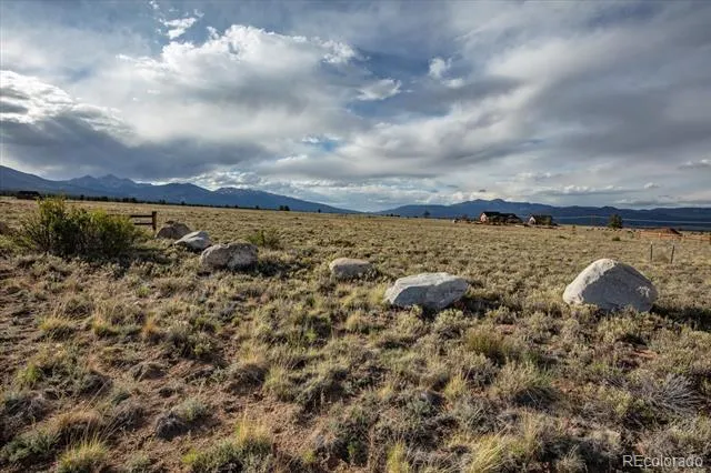 14668 S Stagecoach Lane Buena Vista, CO 81211