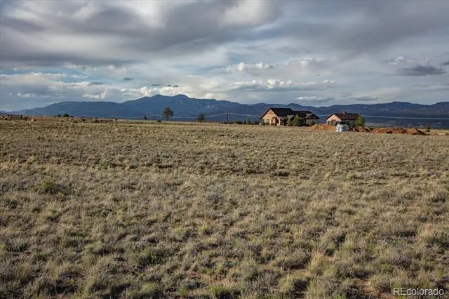 14668 S Stagecoach Lane Buena Vista, CO 81211