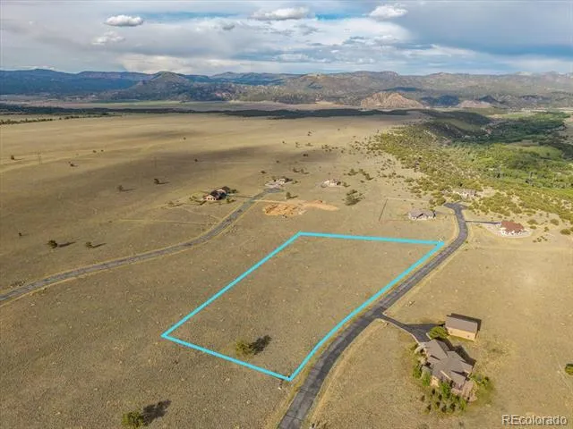 14668 S Stagecoach Lane Buena Vista, CO 81211