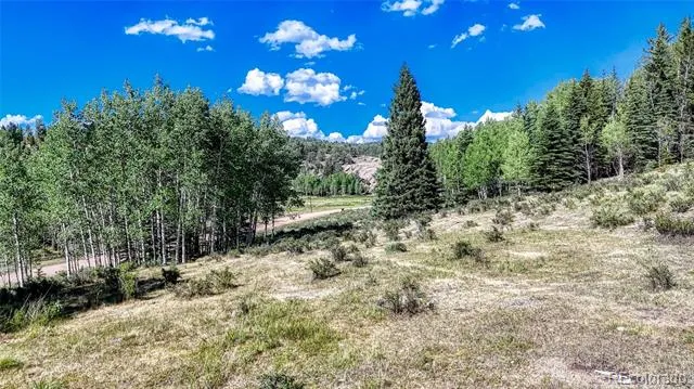 1444 Anges Drive Cripple Creek, CO 80813