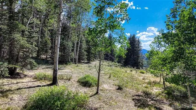 1444 Anges Drive Cripple Creek, CO 80813