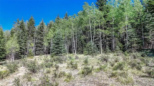 1444 Anges Drive Cripple Creek, CO 80813