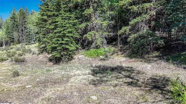 1444 Anges Drive Cripple Creek, CO 80813