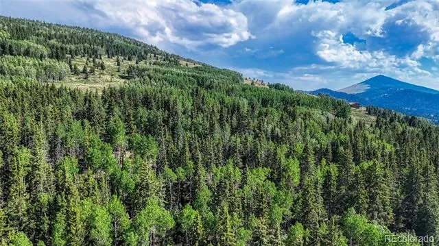 1444 Anges Drive Cripple Creek, CO 80813