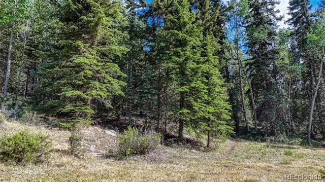 1444 Anges Drive Cripple Creek, CO 80813