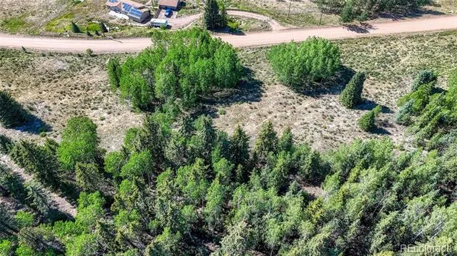 1444 Anges Drive Cripple Creek, CO 80813