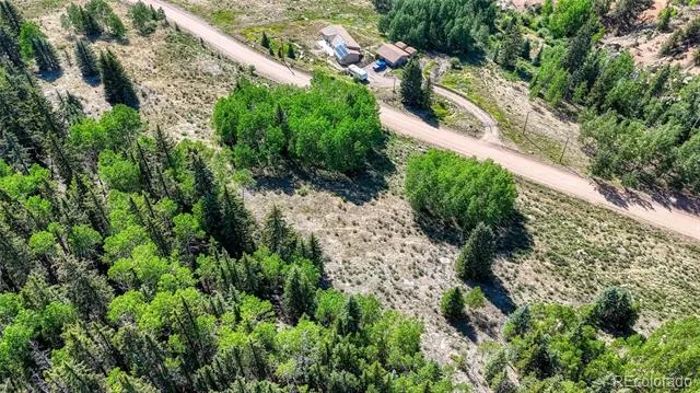 1444 Anges Drive Cripple Creek, CO 80813