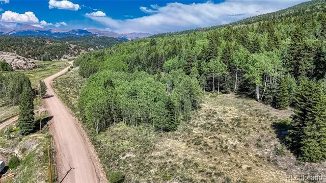 1444 Anges Drive Cripple Creek, CO 80813