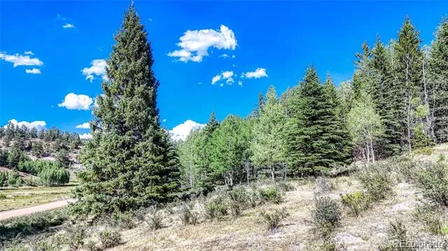 1444 Anges Drive Cripple Creek, CO 80813
