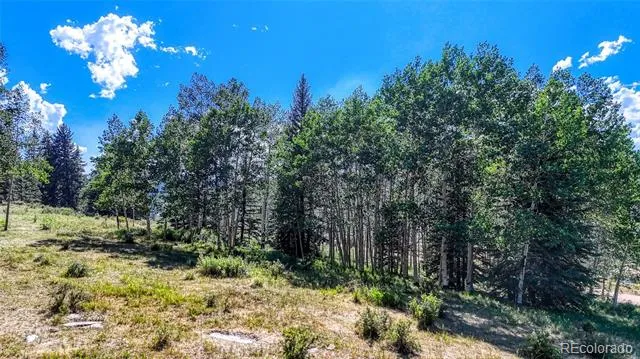 1444 Anges Drive Cripple Creek, CO 80813