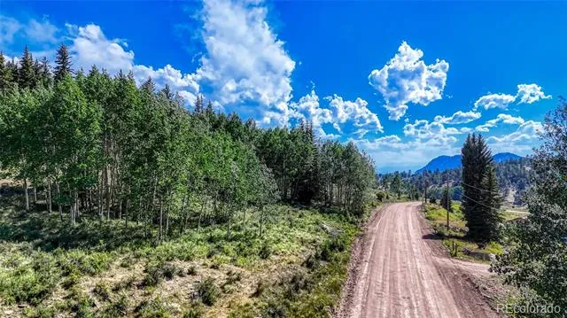 1444 Anges Drive Cripple Creek, CO 80813