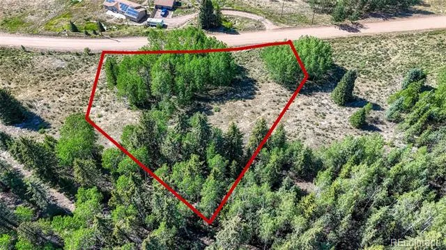 1444 Anges Drive Cripple Creek, CO 80813