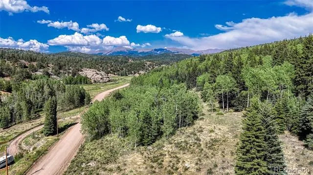 1444 Anges Drive Cripple Creek, CO 80813