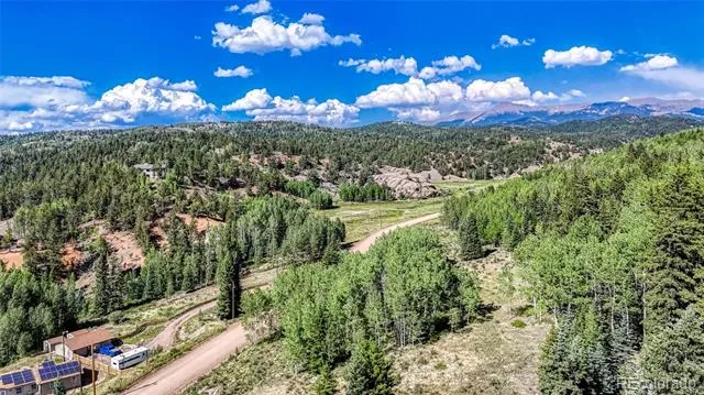 1444 Anges Drive Cripple Creek, CO 80813