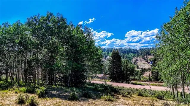 1444 Anges Drive Cripple Creek, CO 80813