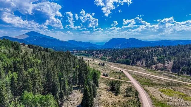 1444 Anges Drive Cripple Creek, CO 80813
