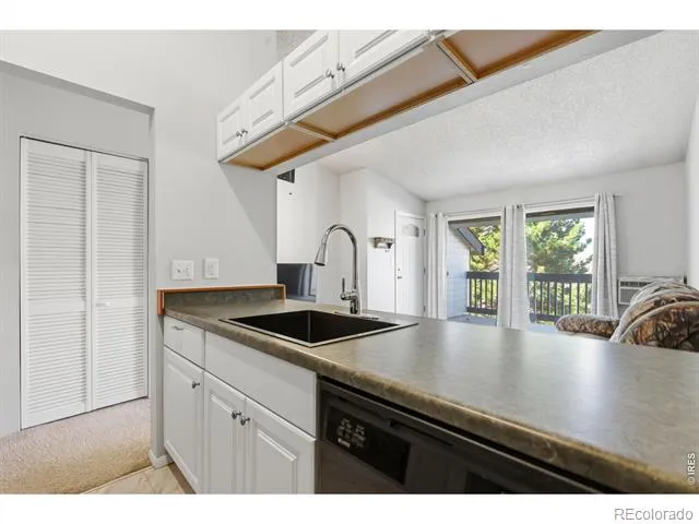 532 Oakwood Drive #E207 Castle Rock, CO 80104