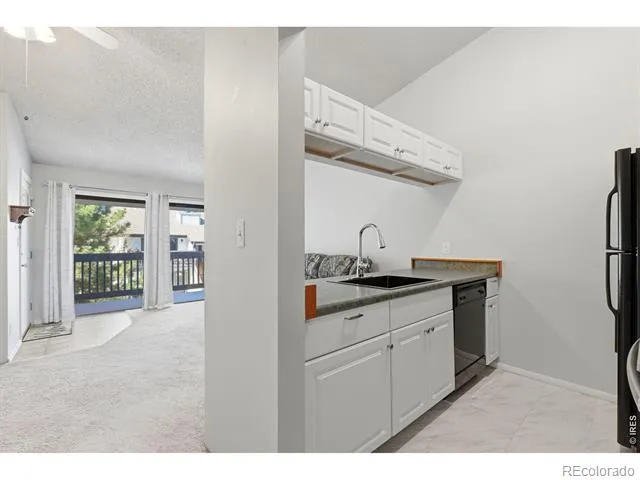 532 Oakwood Drive #E207 Castle Rock, CO 80104