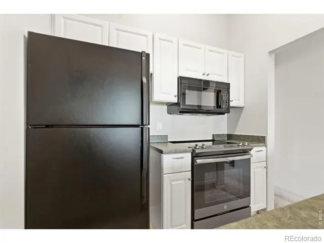532 Oakwood Drive #E207 Castle Rock, CO 80104