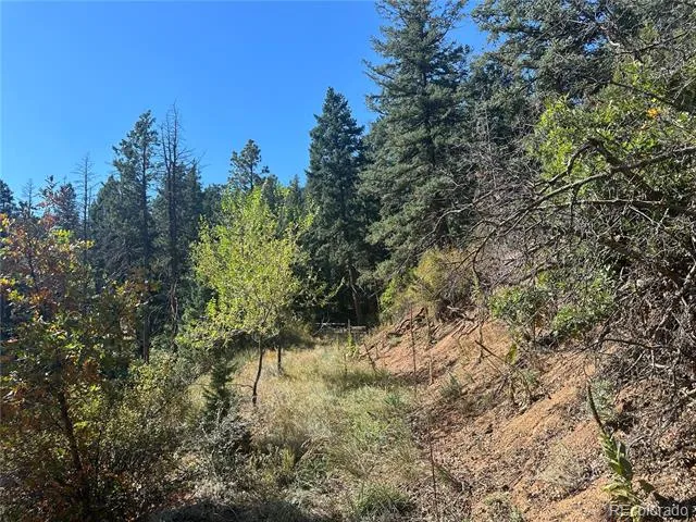 270 Upper Sun Valley Road Manitou Springs, CO 80829