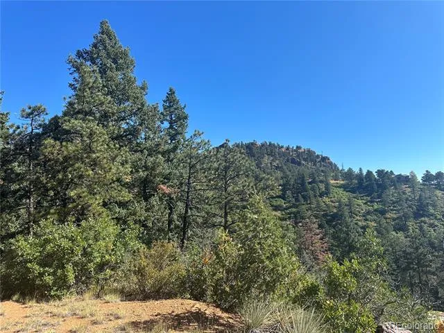 270 Upper Sun Valley Road Manitou Springs, CO 80829