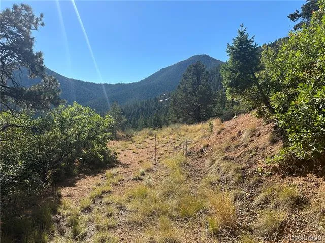 270 Upper Sun Valley Road Manitou Springs, CO 80829