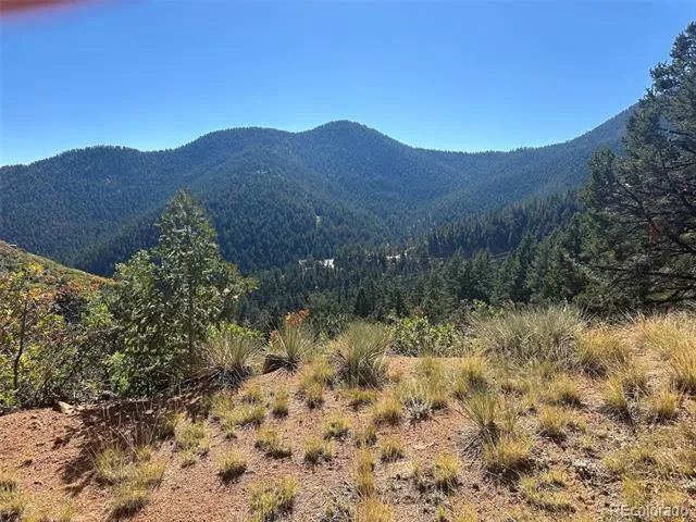 270 Upper Sun Valley Road Manitou Springs, CO 80829