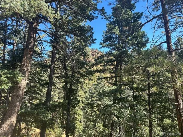 270 Upper Sun Valley Road Manitou Springs, CO 80829