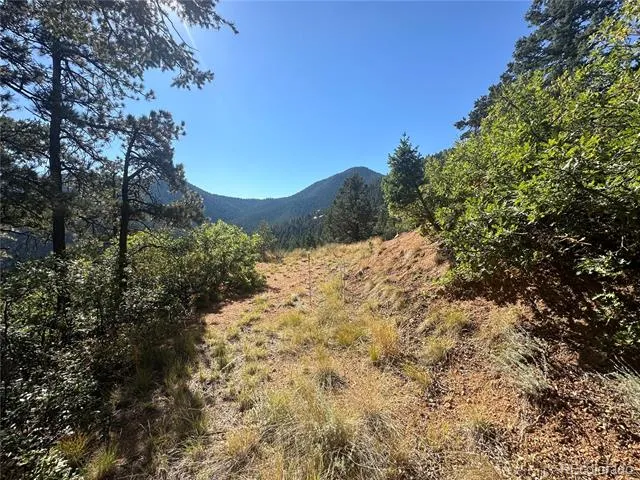 270 Upper Sun Valley Road Manitou Springs, CO 80829