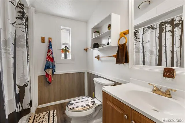 311 W Eaton Avenue Cripple Creek, CO 80813