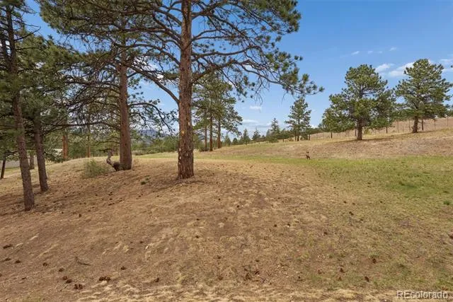 31819 Rocky Village Drive #101 Evergreen, CO 80439