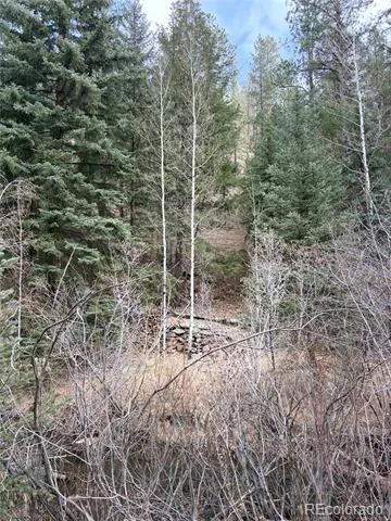 00000 S Elk Creek Road Pine, CO 80470