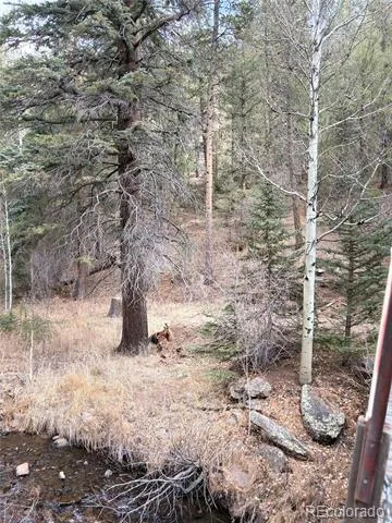00000 S Elk Creek Road Pine, CO 80470