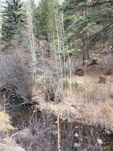 00000 S Elk Creek Road Pine, CO 80470