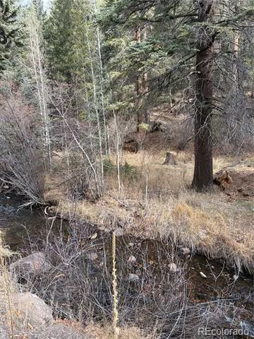 00000 S Elk Creek Road Pine, CO 80470