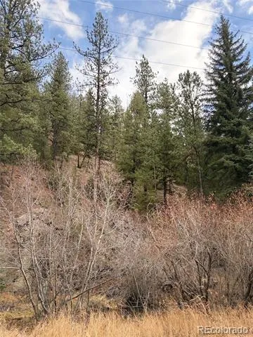 00000 S Elk Creek Road Pine, CO 80470