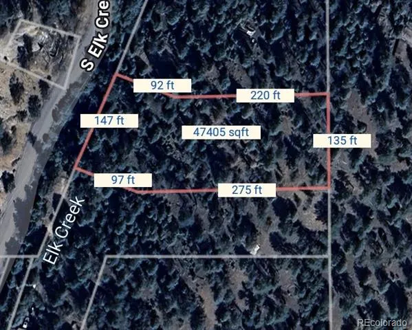 00000 S Elk Creek Road Pine, CO 80470