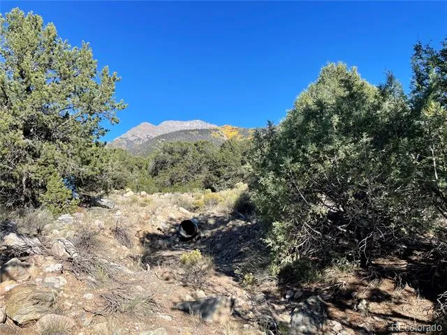 1919 Lone Pine Way Crestone, CO 81131
