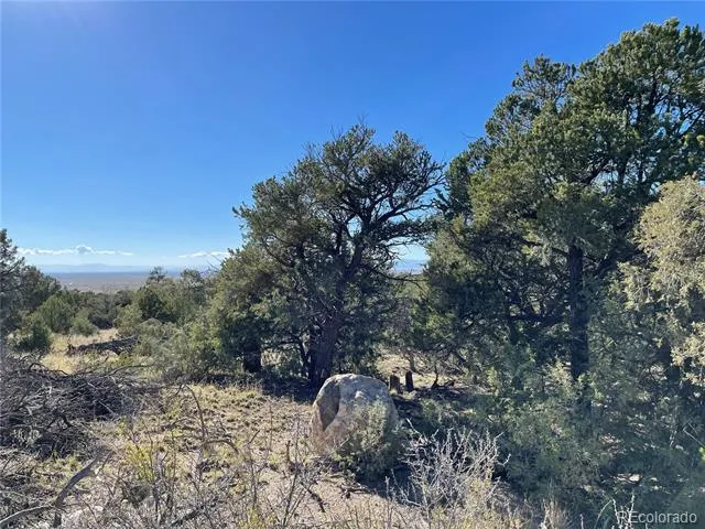 1919 Lone Pine Way Crestone, CO 81131