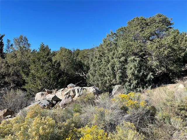 1919 Lone Pine Way Crestone, CO 81131