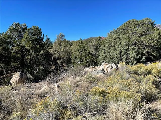 1919 Lone Pine Way Crestone, CO 81131