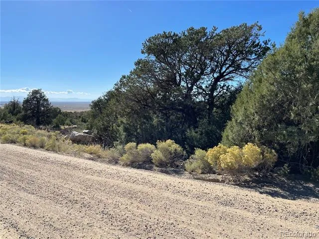 1919 Lone Pine Way Crestone, CO 81131