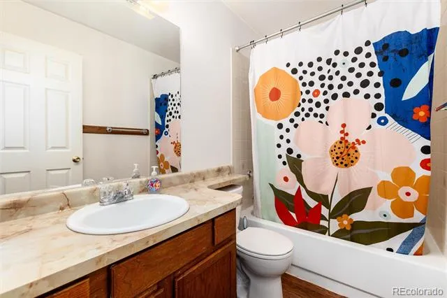 65 Silver Springs Road Bailey, CO 80421