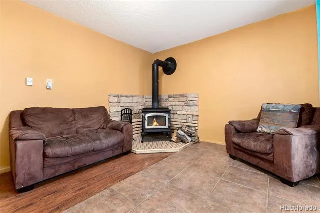 65 Silver Springs Road Bailey, CO 80421