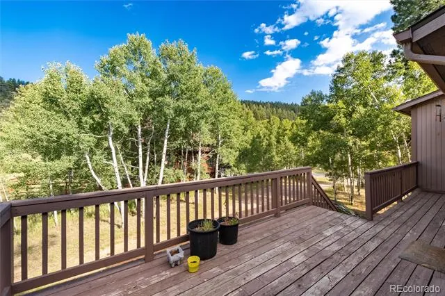 65 Silver Springs Road Bailey, CO 80421
