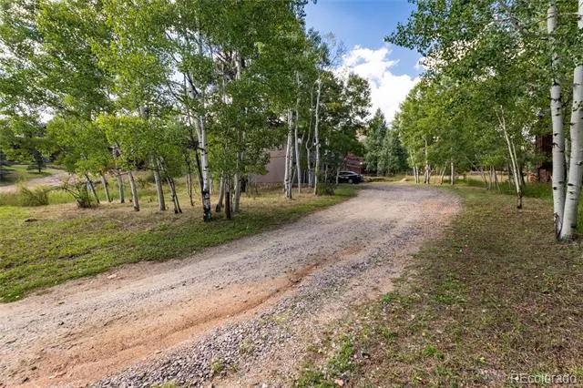 65 Silver Springs Road Bailey, CO 80421