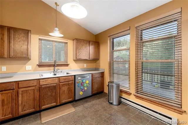 65 Silver Springs Road Bailey, CO 80421
