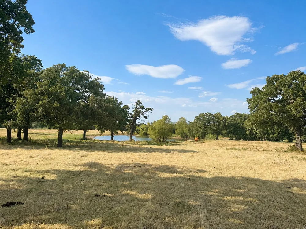 Northpark Bowie, TX 76230