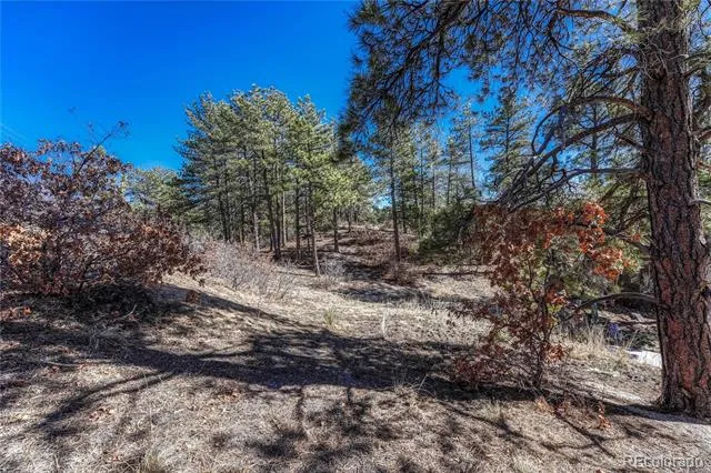2111 Ramblewood Court Castle Rock, CO 80104