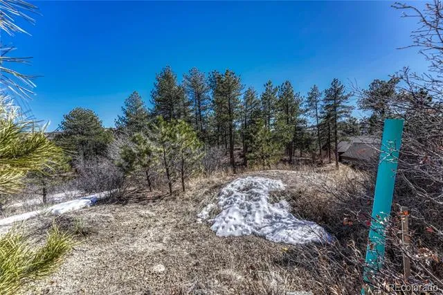 2111 Ramblewood Court Castle Rock, CO 80104